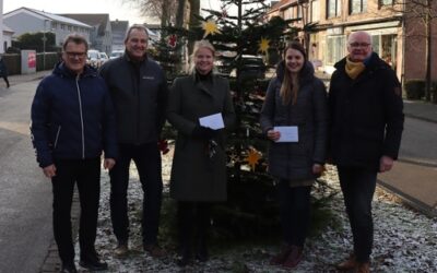 Auf der Lindenallee leuchten geschmückte Weihnachtsbäume!