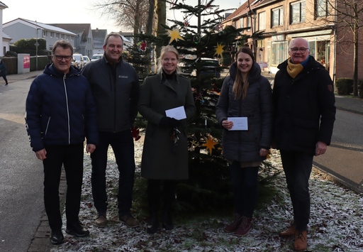 Auf der Lindenallee leuchten geschmückte Weihnachtsbäume!