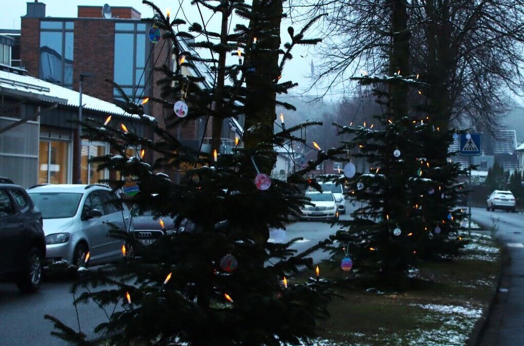 Weihnachtsbäume auf der Lindenallee