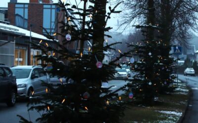 Weihnachtsbäume auf der Lindenallee